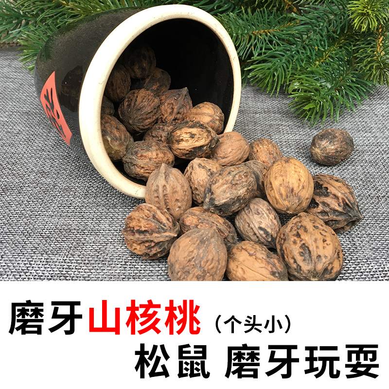 Squirrel Mountain walnut iron walnut squirrel grinding teeth snack