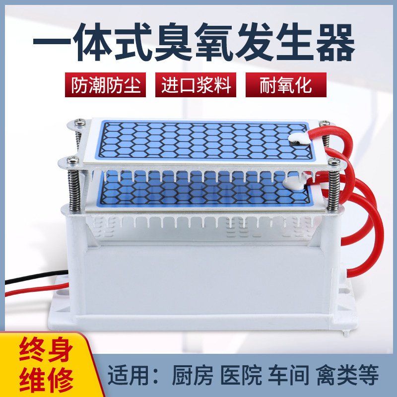 消毒杀菌220V/110V臭氧发生器10g臭氧陶瓷片配件除甲醛养殖场家用