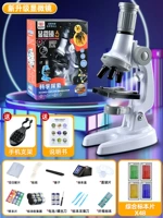 Образец для школьников из жемчуга, держатель для телефона, модернизированная версия