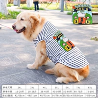 Черно -белая полосатая без рукавов Полная версия еды первого места