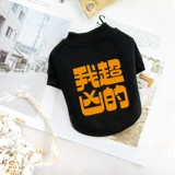 Собачья одежда Весна и осенняя плюшевая кошка маленький коки фана