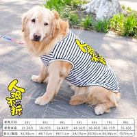 Черно -белые полосатые без рукавов люди не разбираются