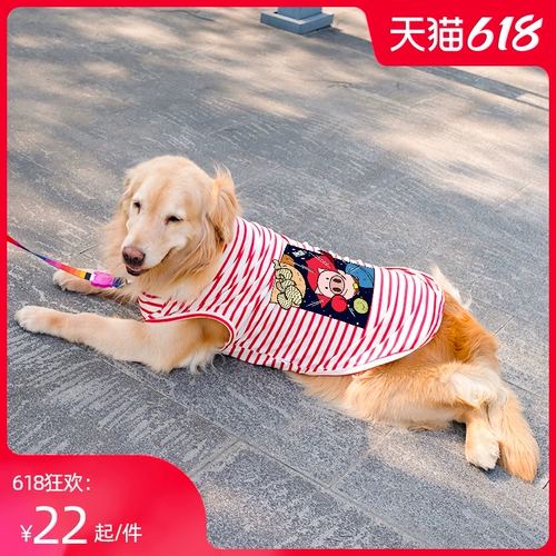 Золотой ретривер для собачьего жилета