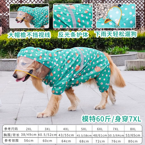 Дорога собака Большой собака среднего цвета