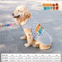 Черно -белый полосатый без рукавов ты меня сопровождаешь