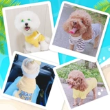 Собачья одежда Весна и осенняя плюшевая кошка маленький коки фана