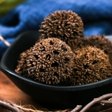 Купить один бесплатный, чтобы пройти традиционную китайскую медицину кленово кленово кленово кленово кленово кленово кленовое кленовое клен