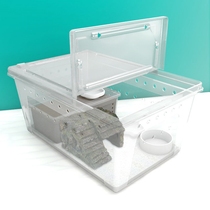 Breeding Crab Special Vat Breeding Box Sustena Crab Strawberry Grey White Pet Reptile Vigil Spider Universal Angular Frog Climbing