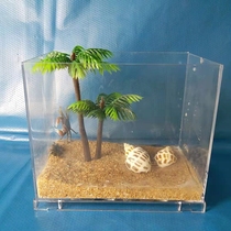 Breeding Crab Special Vat Rearing Box Chili Crab Small Pet Ecosystem Children Gift Mini Desktop Feeding SCAPE