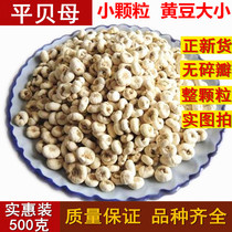 Flat Fritillary 500g Wild Special Grade Sichuan Fritillary Cough Relief Chinese Medicinal Material Small Fritillary Fei Tongrentang