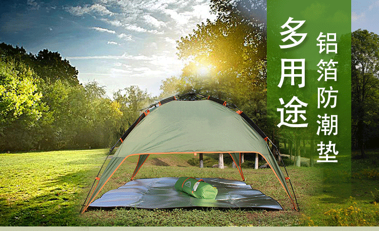 Nhôm phim mat mat dã ngoại mat vải thảm thảm ngoài trời cầm tay dày nhà dã ngoại thảm cắm trại - Thảm chống ẩm / Mat / Gối khăn trải picnic