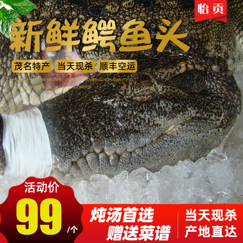 Fresh crocodile head, about 2 pounds, whole crocodile head, whole crocodile, freshly slaughtered, braised, stewed soup, chopped peppers