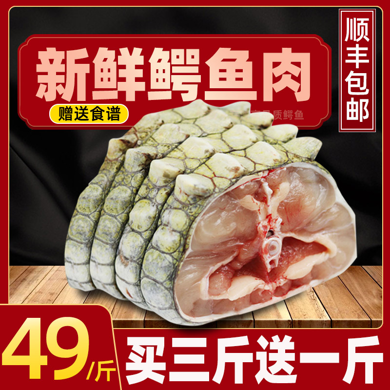 Fresh crocodile meat