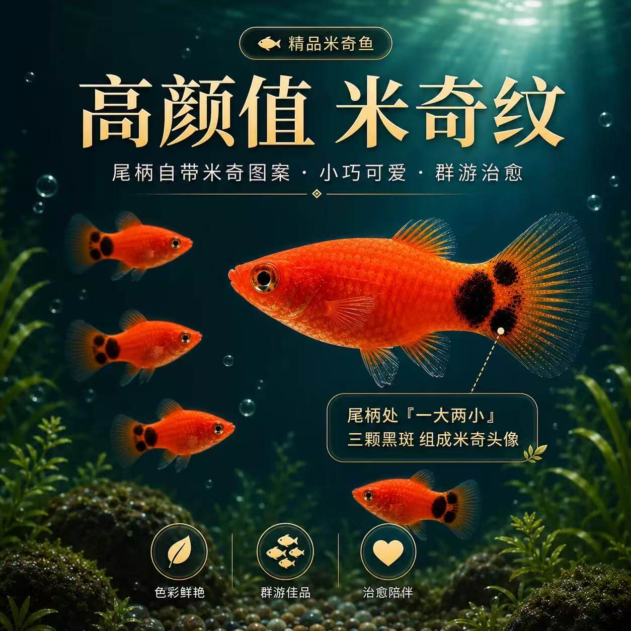 爱宠瓷坊源头直销的LOGO