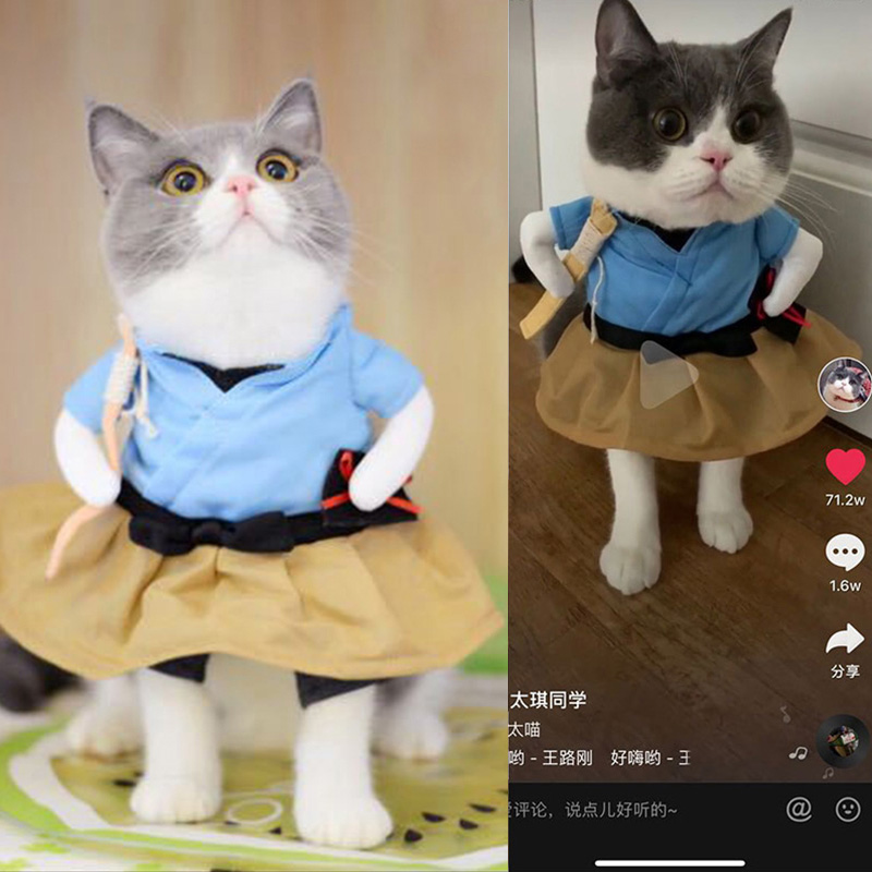 Douyin net red with the same cat clothes Urashima Taro meow funny funny clothes autumn thin cat upright clothes