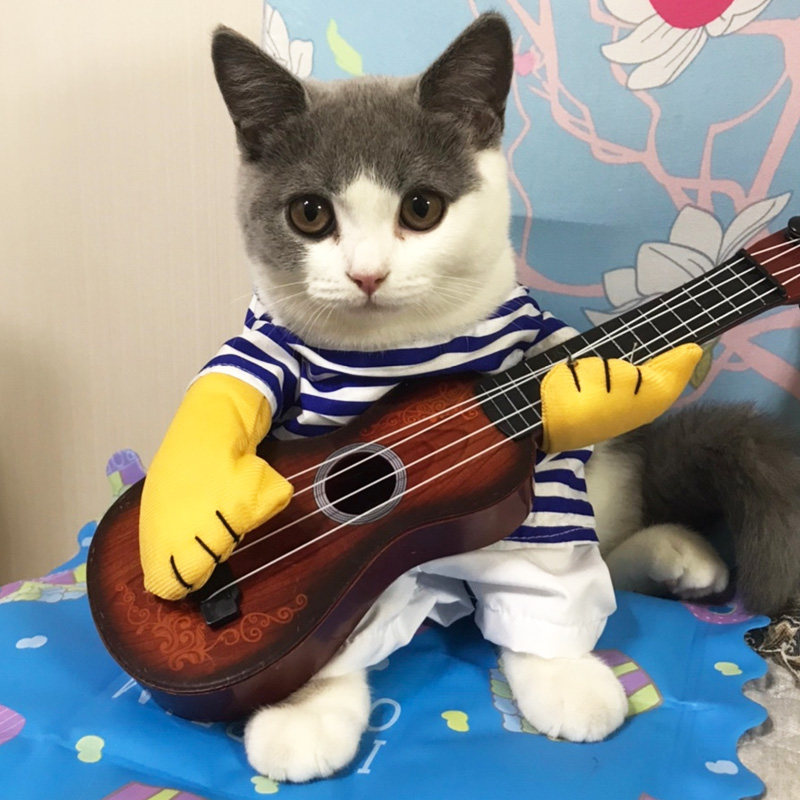 Douyin with the same guitar, net red cat clothes, summer thin section, dog funny outfit, funny outfit, pet upright outfit