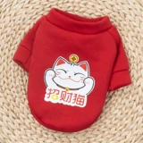 Котенок одежда весна и осеннее платье милая щенка для собак