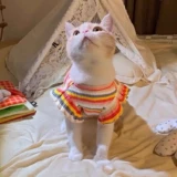 Осенний тонкий летний дышащий жилет, рукава фонарики, эффект подтяжки