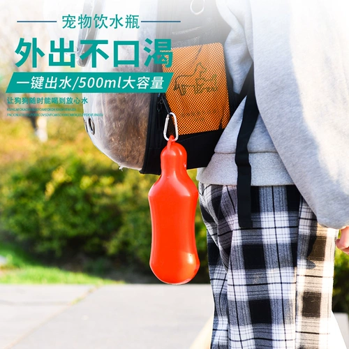 Собаки и кошки выходят, чтобы выпить чайник и взять чашку с водой, чтобы выйти, чтобы пройти питьевую воду для питомца и выпить водонагреватели.