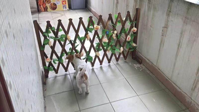 Клетка для животных 宠物围栏狗笼隔断拦狗栅栏阳台隔离门可伸缩栅栏门挡狗挡猫兔护栏 OTHER