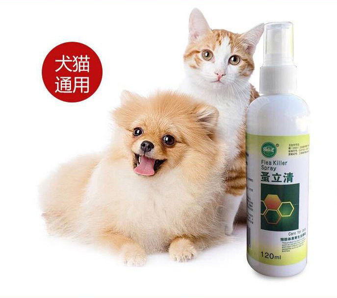 Thú cưng nhỏ tẩy giun cho mèo và chó Thuốc tẩy giun ngoài lông vàng óng ngoài thuốc xịt bọ chét - Cat / Dog Medical Supplies xilanh tiêm