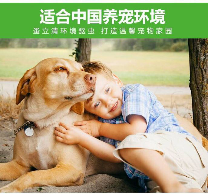 Thú cưng nhỏ tẩy giun cho mèo và chó Thuốc tẩy giun ngoài lông vàng óng ngoài thuốc xịt bọ chét - Cat / Dog Medical Supplies 	đầu kim tiêm thú y	