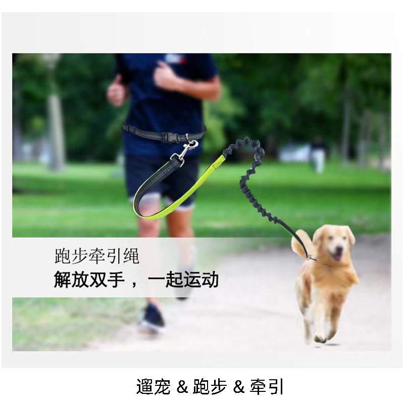Dog running traction rope exercise around waistwalking dog walking with waistdog rope and small dog walking artifact