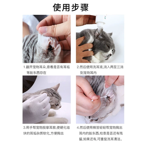 Кошачьи ухой уход