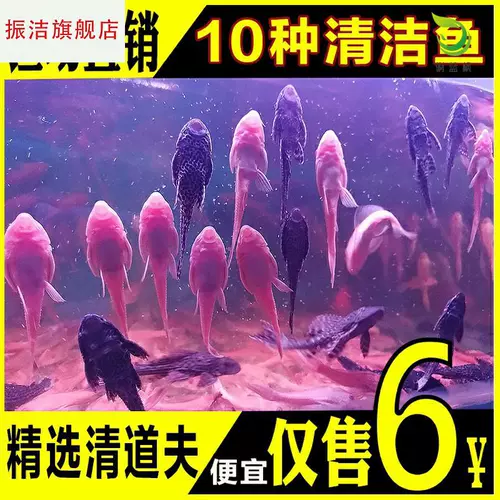 Рыбная аквариума чистая прозрачная дафу