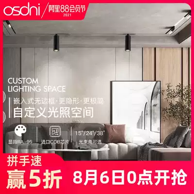 Magnetic track light accessories