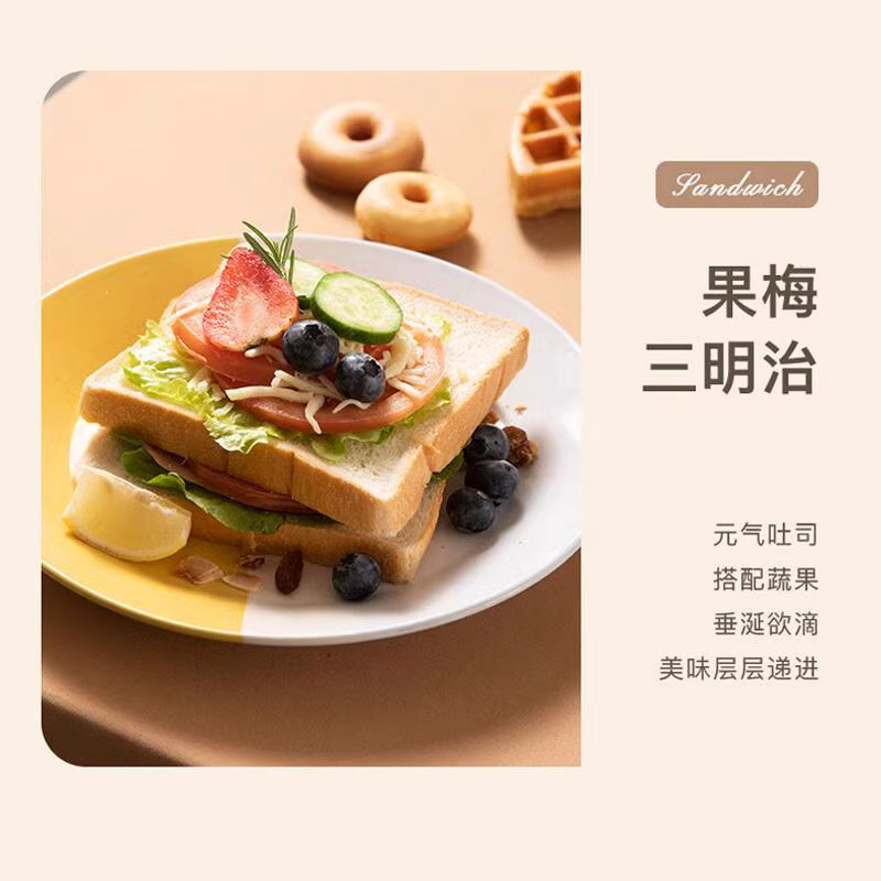 German Rogp Multifunctional Electric Baking Pan Special Matching Baking Tray