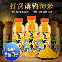 Fool DMPT rice DMPT crucian carp fiery wild fishing Musk rice millet formula homemade fishing medicine carp