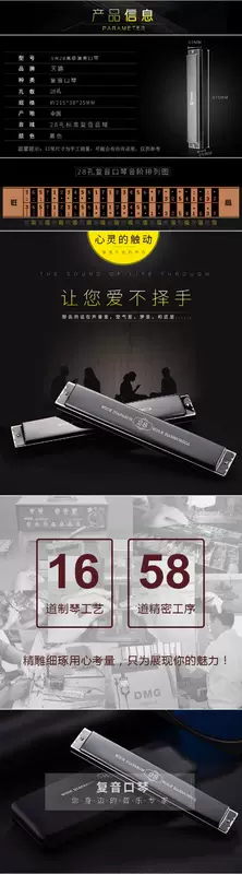 Harmonica nâng cao 24 lỗ 28 lỗ C Điều chỉnh có dấu Harmonica nâng cao dành cho người lớn chuyên nghiệp Người mới bắt đầu chơi nhạc cụ Harmonica - Nhạc cụ phương Tây