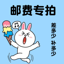 Special make-up postage link Make-up how many yuan How many pieces (freight make-up difference)