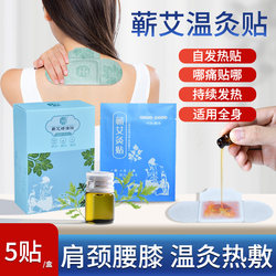어깨, 목, 등 및 복부를위한 마스터 Qi의 일반적인 moxibustion 패치