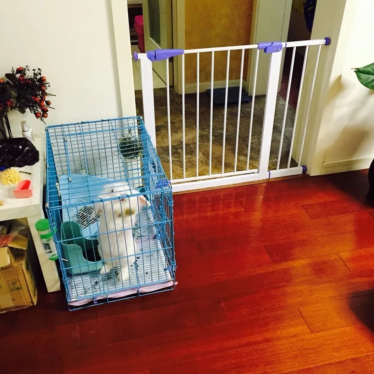 Uber Baby Child free from punching door Bar Baby stairway Anti-rail Pet Fence Dog grid Rod Fence