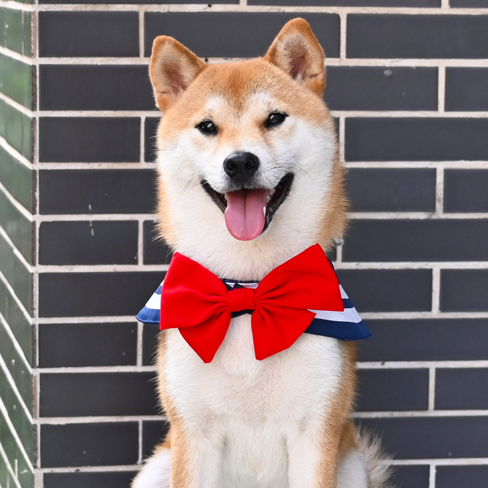 Pet Dog Navy Feng Sailor Sailor Moon Bow Scarf Scarf Scarf Bow Tie Corgi Shiba Inu