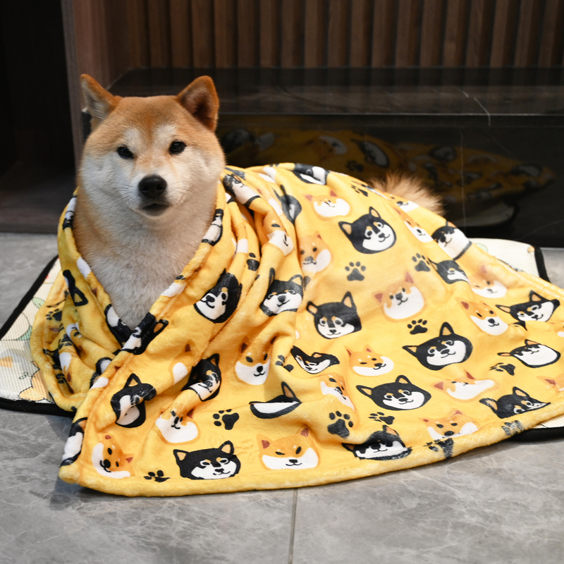 Pet Dog Corgi Teddy Shiba Inu Blanket Autumn and Winter Flannel Coral Fleece Small Quilt Warm Sleeping Blanket