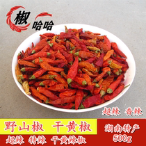 Hunan specialty dry yellow pepper super spicy spicy spicy noodles millet Spicy Spicy Pepper King wild mountain pepper 1kg