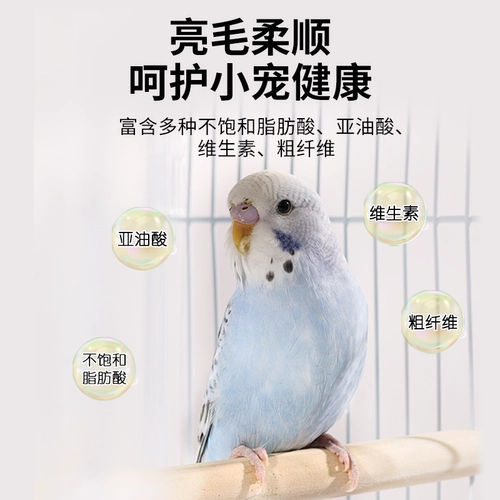 Buka Star Parrot Birds Food Feed Trawing вознаграждение закуски маленькие чернокожи