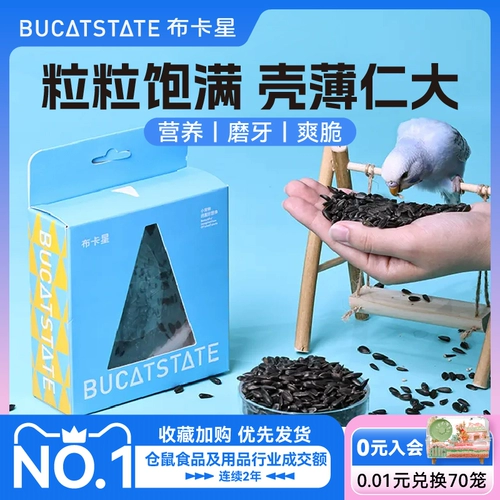 Buka Star Parrot Birds Food Feed Trawing вознаграждение закуски маленькие чернокожи