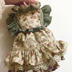 Autumn and Winter Floral Dress Pet Clothing Maltese Pomeranian Dog Clothes Cat Clothes Spring and Summer Style