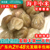 海丰小米2斤薯粉肉饺子广东茶楼潮汕特产汕尾海丰菜粿牛肉饼扁实