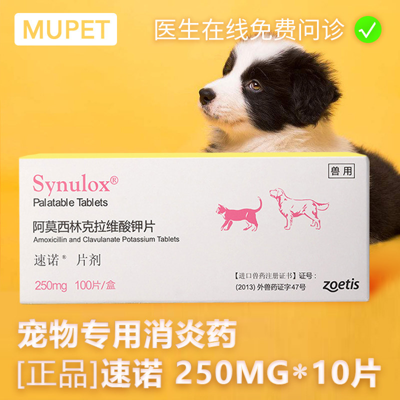 Zino Anti-inflammatory Dog Cough Cold Medicine Antibacterial Anti-inflammatory Drug