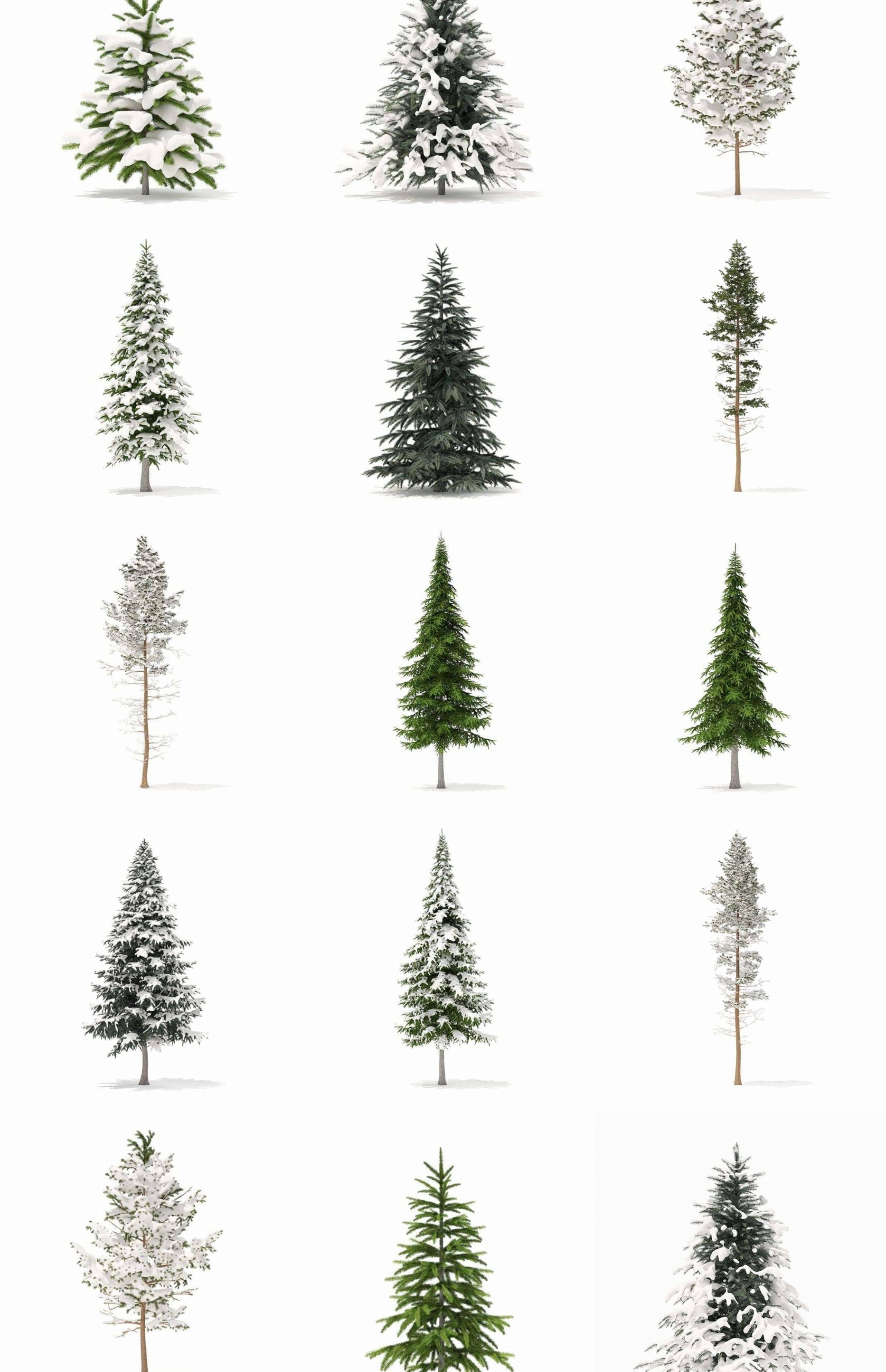 图片[5]-C4D冬季积雪植物FBX松树OBJ树木圣诞树场景道具三维模型设计素材-cg男孩