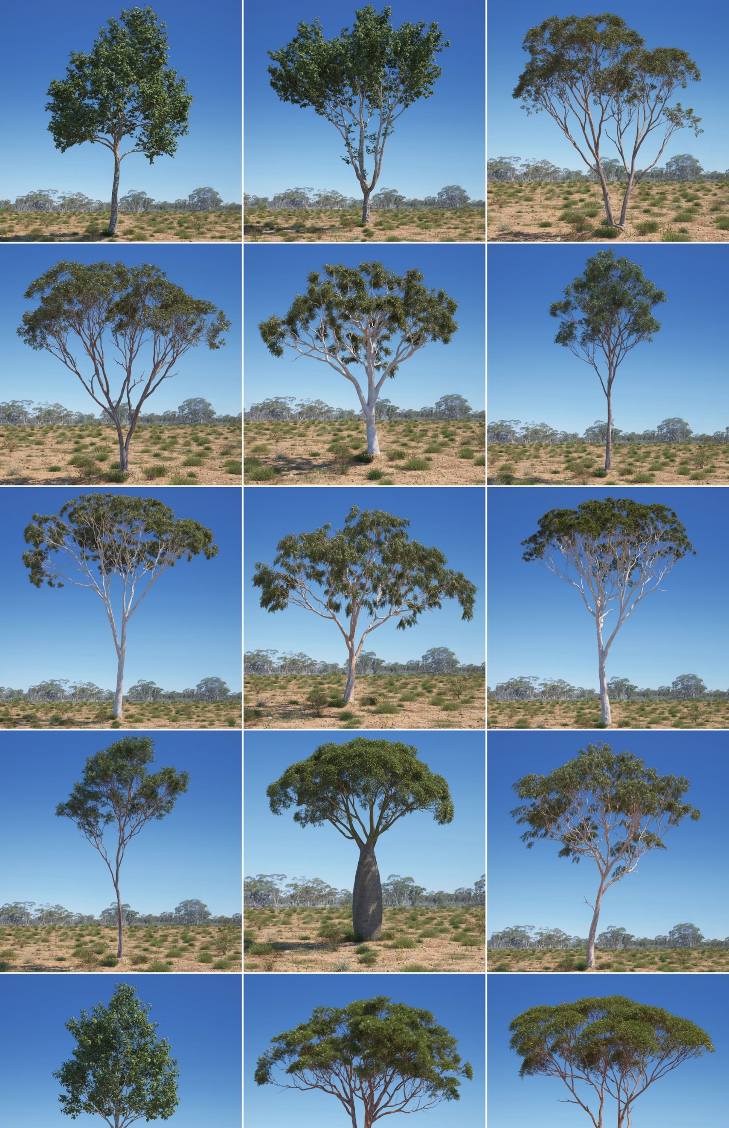 图片[3]-C4D景观植物FBX大树Blender树木Maya绿植三维3D模型-cg男孩