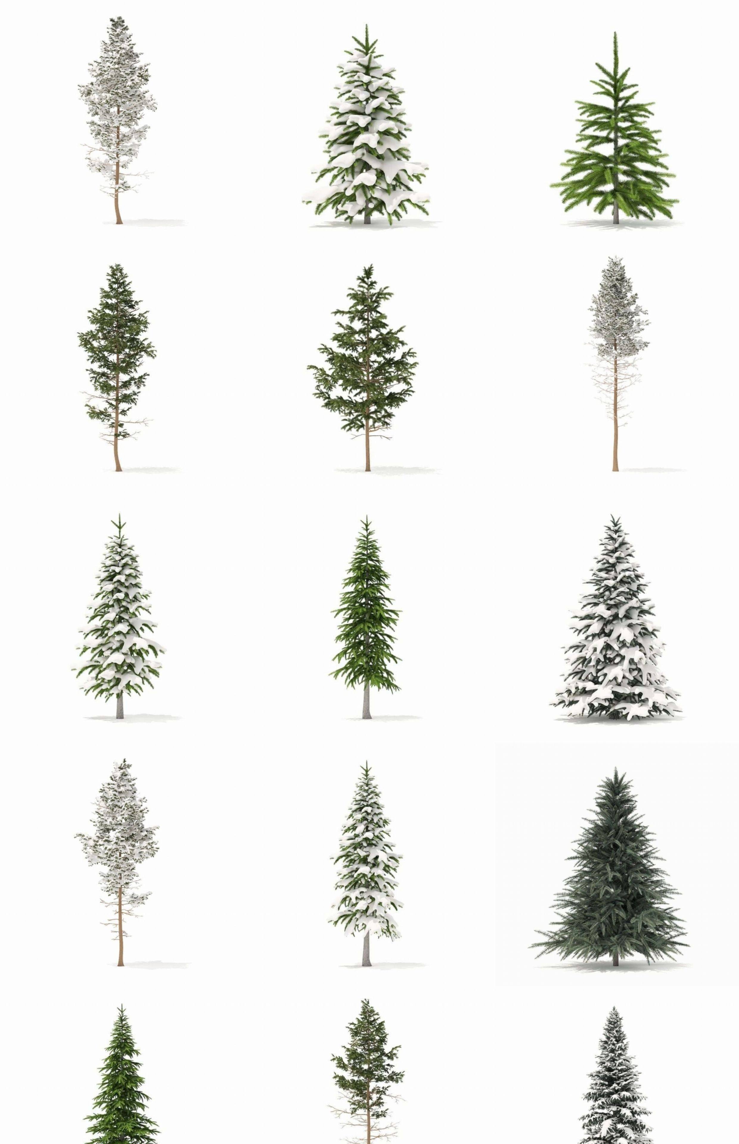 图片[3]-C4D冬季积雪植物FBX松树OBJ树木圣诞树场景道具三维模型设计素材-cg男孩