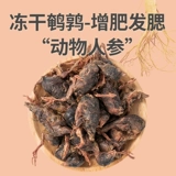 Замороженные перепелы закуски для питомца, жир, щеки, сыр, кальциевые собачьи закуски яйца замороженные сухое зерно, костяное мясо для собаки корм для собак