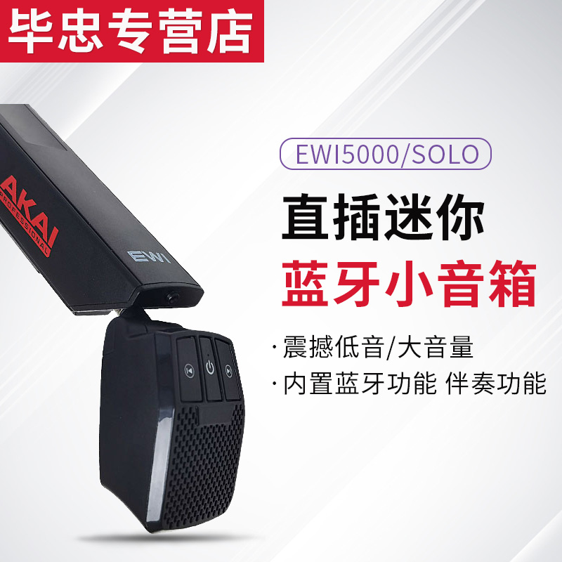 Suitable for AKAI EWI5000 SOLO Roland AE10 blow pipe instrument in-line Bluetooth small speaker