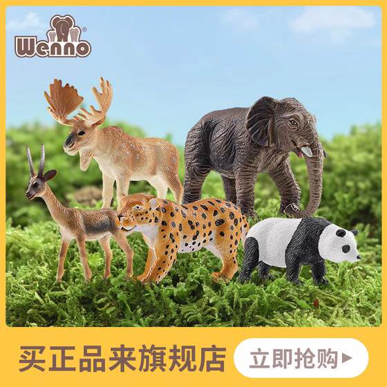 Wenno Eurasian continent simulation animal toy model children's cognitive Asian European wild animal type gift